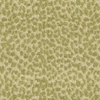Kravet 31937 Tetouan 316 Spring
