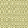 Kravet 31877 Enthusiasm 23 Pear