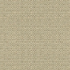 Kravet 31877 Enthusiasm 11 Platinum