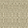 Kravet 31877 Enthusiasm 11 Platinum