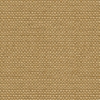 Kravet 31877 Enthusiasm 4 Nutmeg