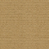 Kravet 31877 Enthusiasm 4 Nutmeg