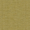 Kravet 31955 Baluchi 3 Tropique