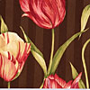 Better Homes & Gardens Tulipan - Chocolate