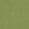 Sunbrella 48022 Spectrum Cilantro