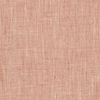 Stout Rembrandt 4 Peach