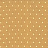 Kasmir CS120 - Honey