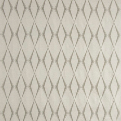 Carole Fabrics Double Take - Silver
