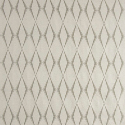 Carole Fabrics Double Take - Silver