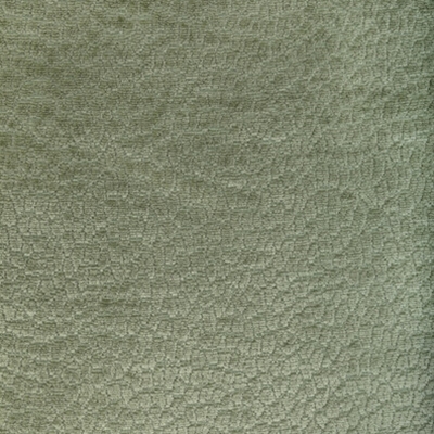 Kravet 36606 - 303