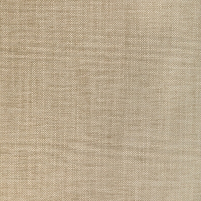 Kravet 36650 - 116