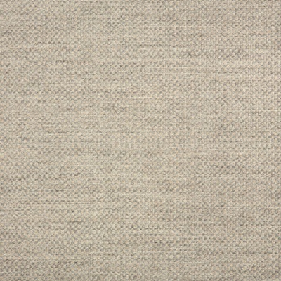 Sunbrella 44285-0001 Action Ash