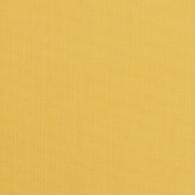 Sunbrella 48024 Spectrum Daffodil