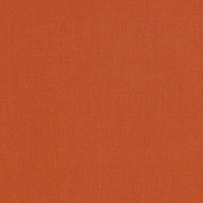 Sunbrella 54010 Canvas Rust