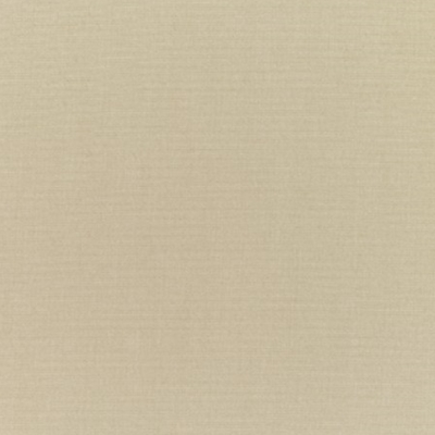 Sunbrella 5422 Canvas Antique Beige