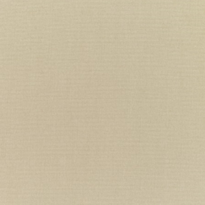 Sunbrella 5422 Canvas Antique Beige