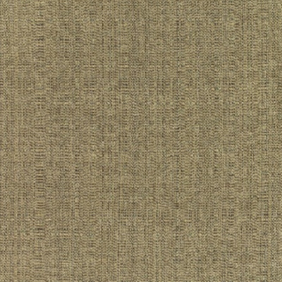 Sunbrella 8317  Linen Pampas