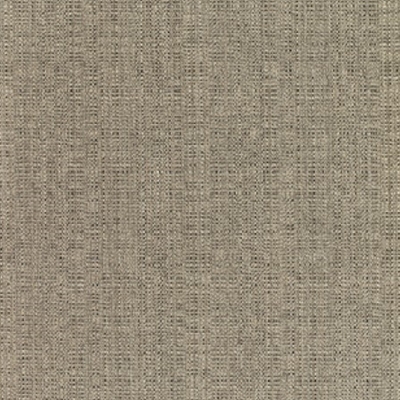 Sunbrella 8319 Linen Stone