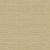 Kravet 31912 Alexandra 14 Golden