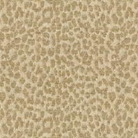 Kravet 31937 Tetouan 16 Creme