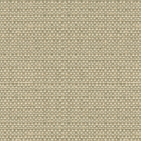 Kravet 31877 Enthusiasm 11 Platinum