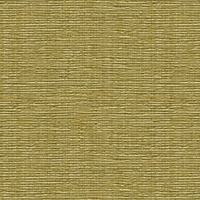 Kravet 31955 Baluchi 3 Tropique