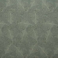 Kravet 28436 Nepal 435