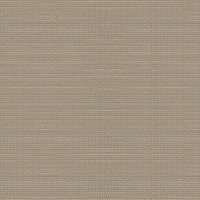Kravet 31987 Believe 11 Platinum