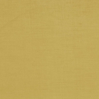 Kasmir Plush Gold