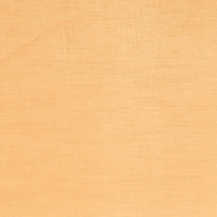 Kasmir Plush Orange