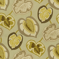 Kravet Guava 1630