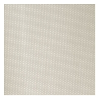 Kravet Dempo 111 Champagne